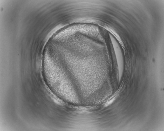 X0000085840992200704091719