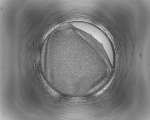 X0000085840993200704091719