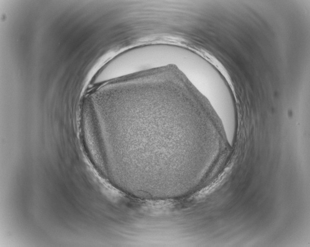 X0000085840997200704091719