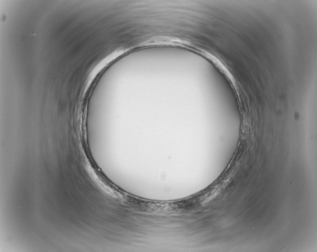 X0000085841003200704091718