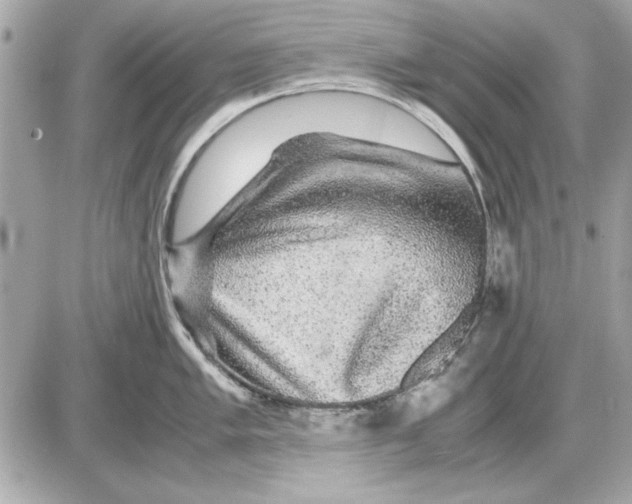 X0000085841005200704091718