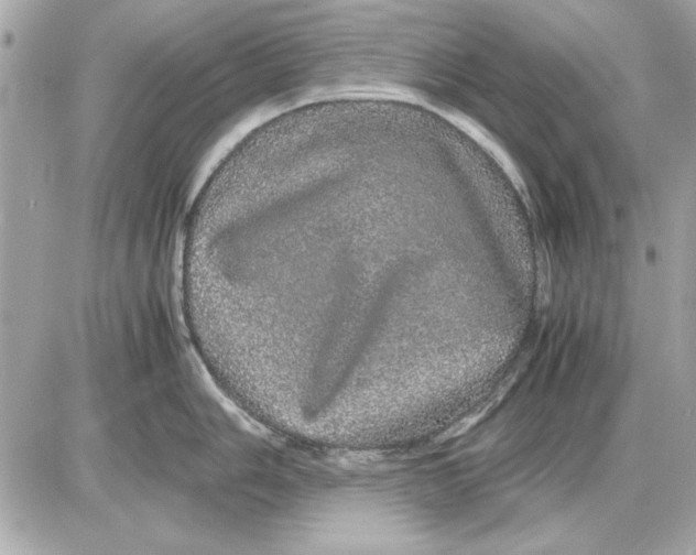 X0000085841006200704091718