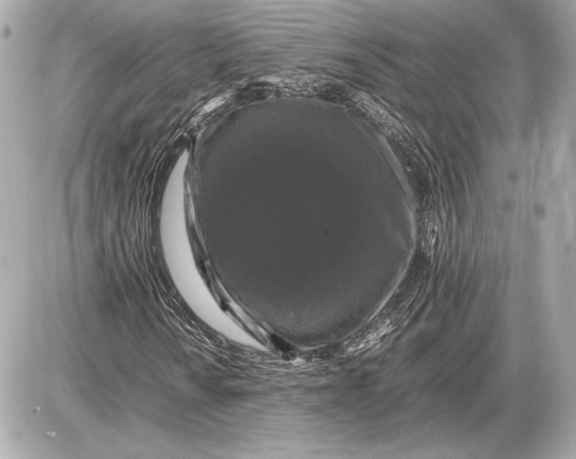 X0000085841010200704091718