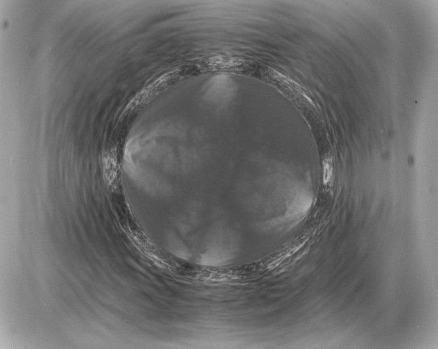 X0000085841011200704091718