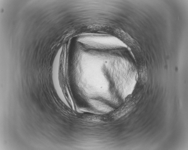 X0000085841012200704091718
