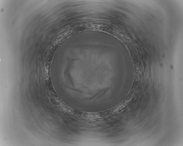 X0000085841013200704091718