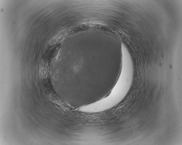 X0000085841014200704091718