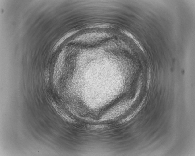 X0000085841017200704091718