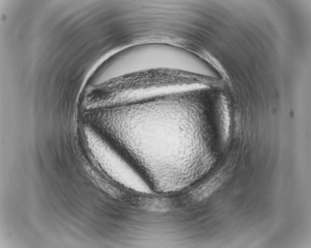 X0000085841020200704091718