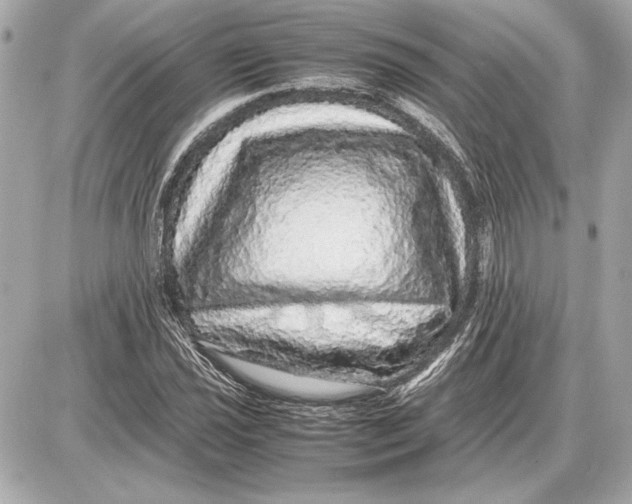 X0000085841021200704091718