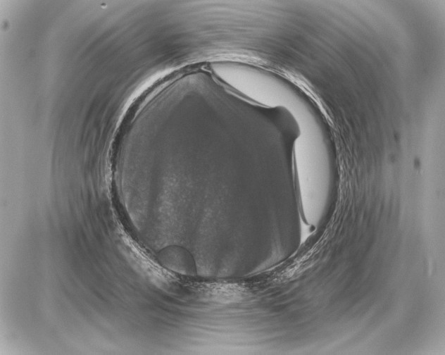 X0000085841024200704091718