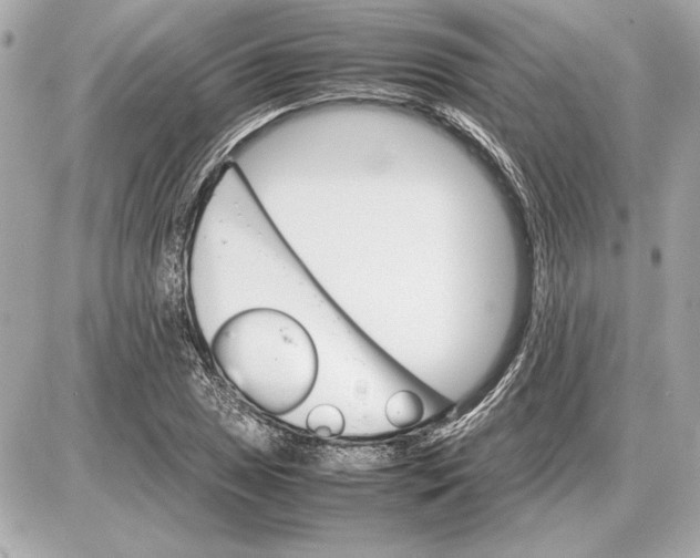X0000085841025200704091718