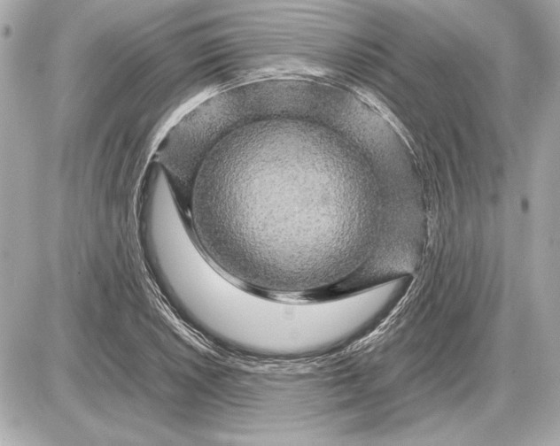 X0000085841026200704091718