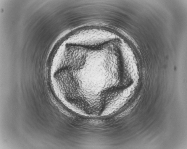 X0000085841029200704091718