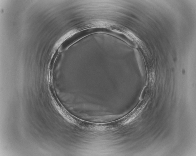 X0000085841034200704091718