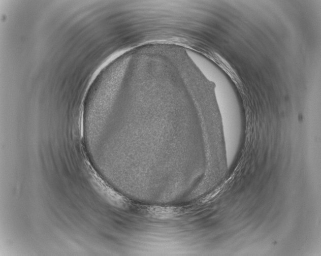 X0000085841036200704091718