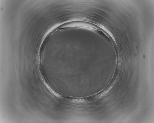 X0000085841037200704091718