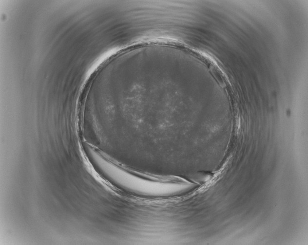 X0000085841038200704091718