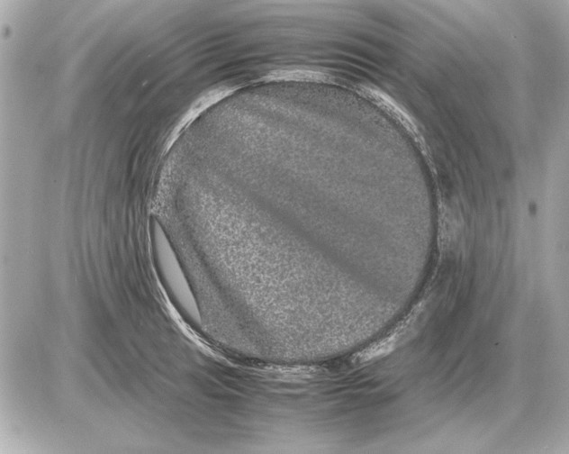 X0000085841041200704091718