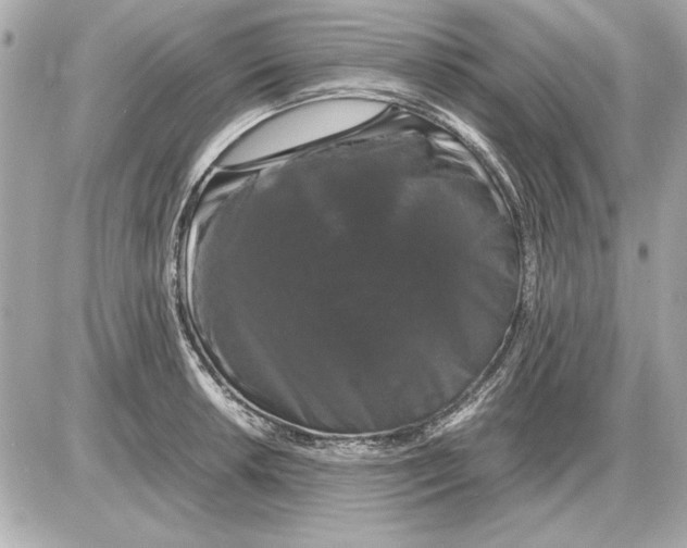 X0000085841042200704091718