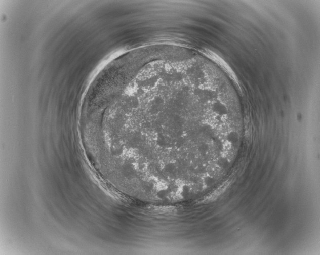 X0000085841043200704091718