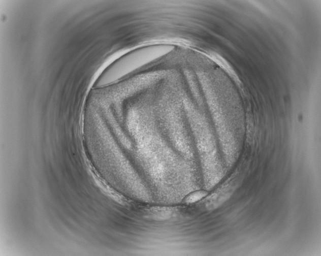 X0000085841044200704091718