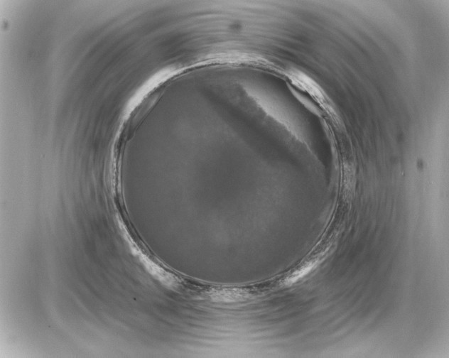 X0000085841046200704091718