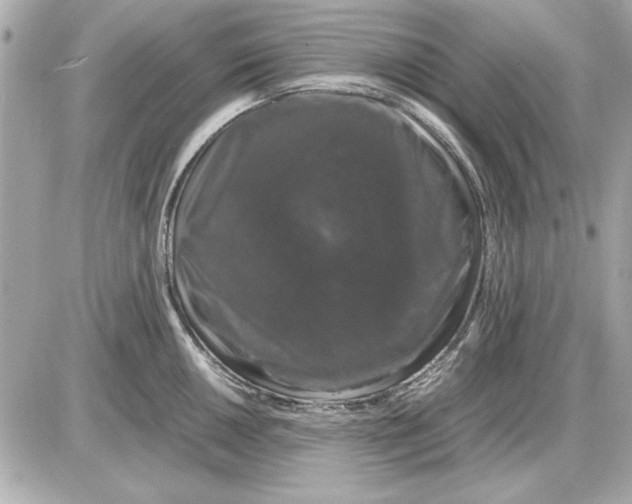 X0000085841050200704091718