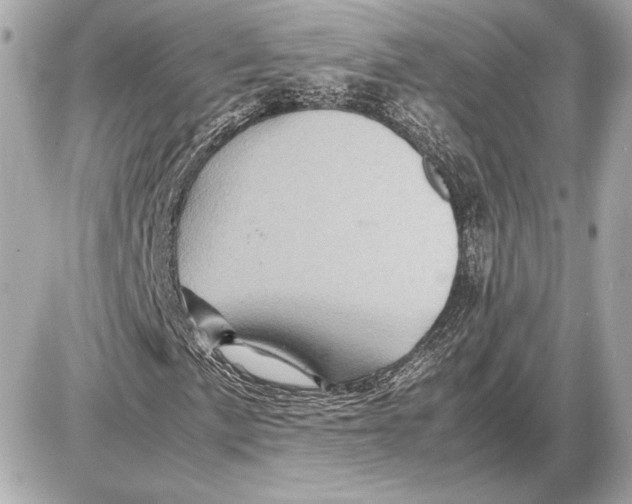 X0000085841057200704091718