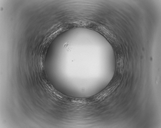 X0000085841058200704091718