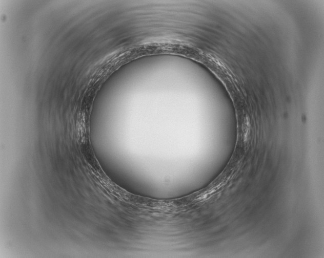 X0000085841062200704091718