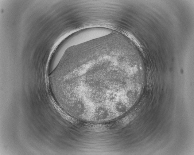 X0000085841072200704091717