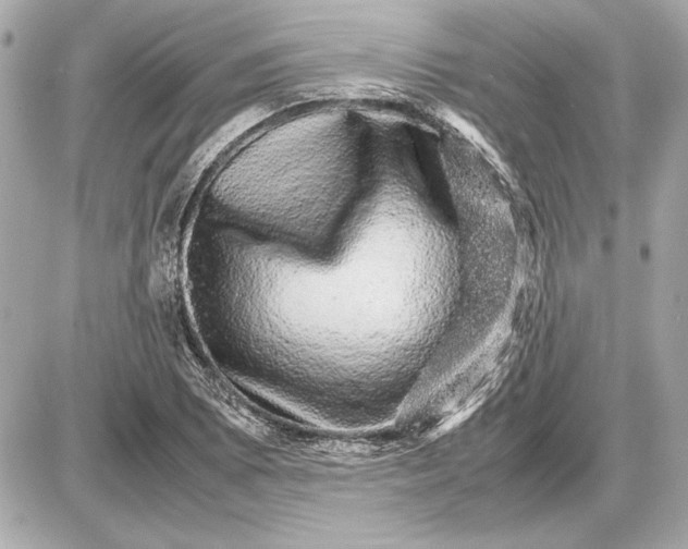 X0000085841073200704091717