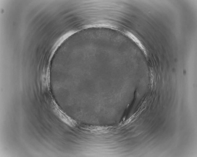 X0000085841076200704091717