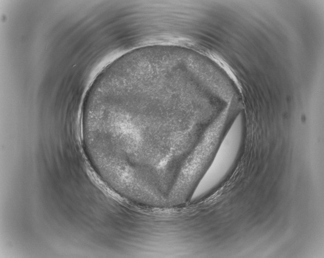 X0000085841080200704091717