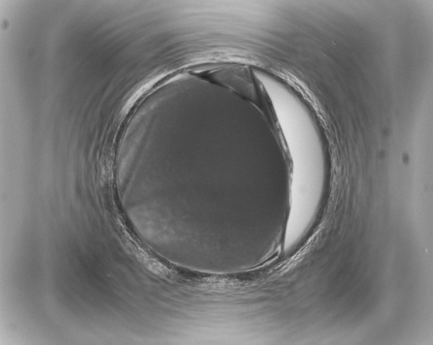 X0000085841081200704091717