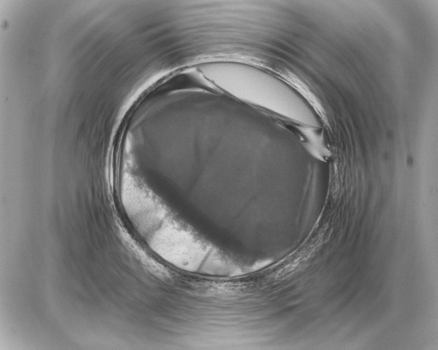 X0000085841084200704091717