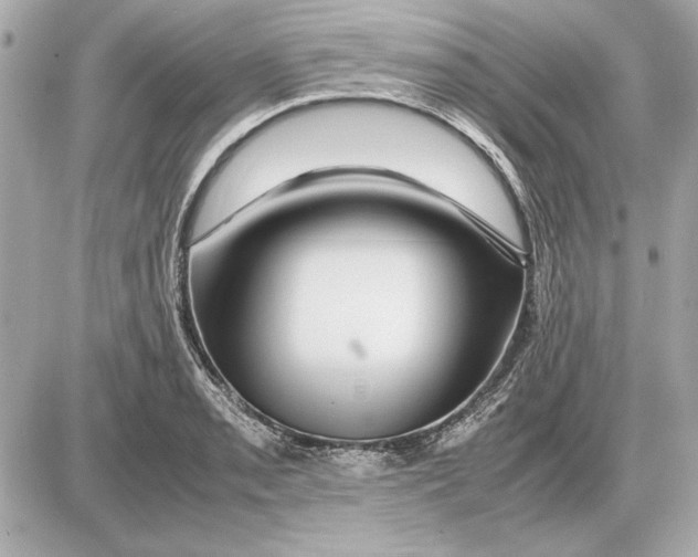 X0000085841085200704091717