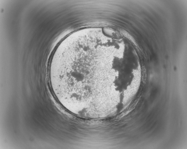 X0000085841087200704091717