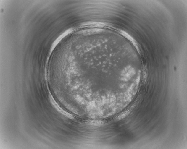X0000085841090200704091717