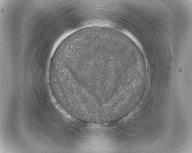 X0000085841104200704091717