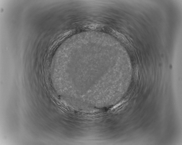 X0000085841105200704091716