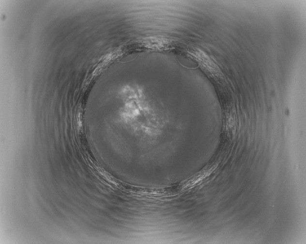 X0000085841106200704091716