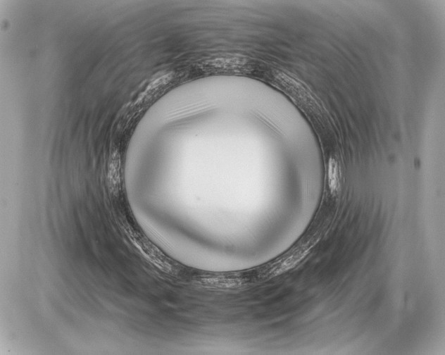 X0000085841107200704091716