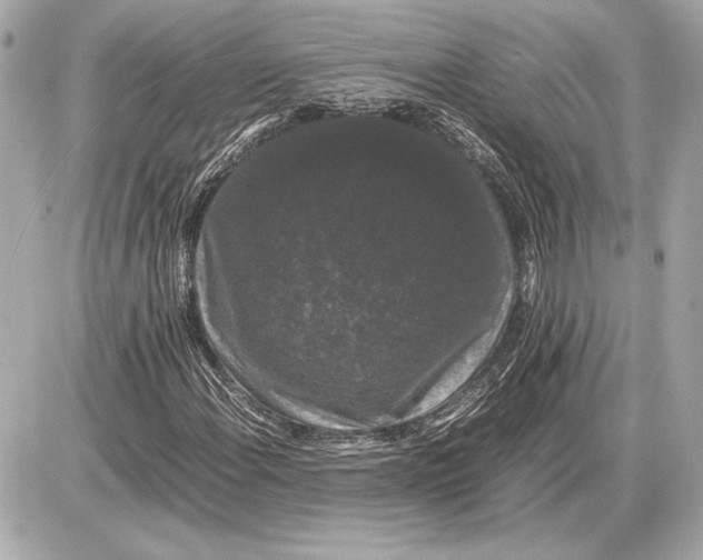 X0000085841108200704091716