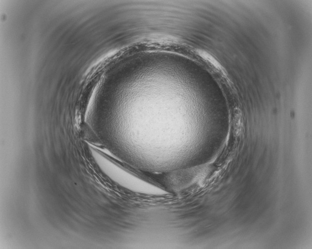 X0000085841112200704091716