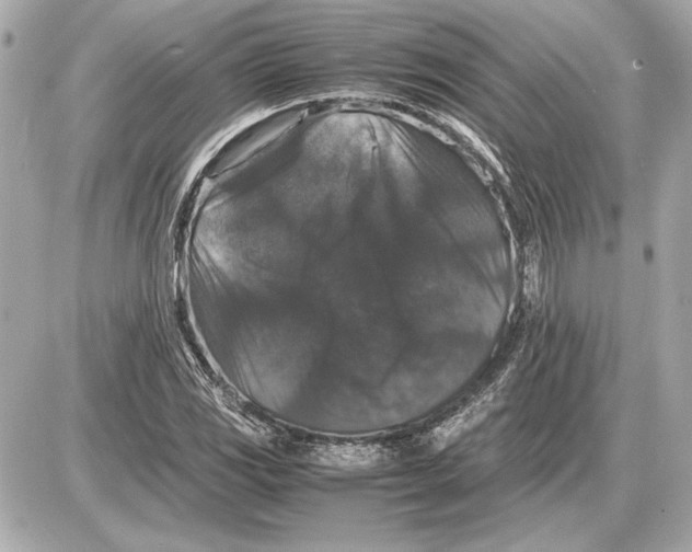 X0000085841117200704091716