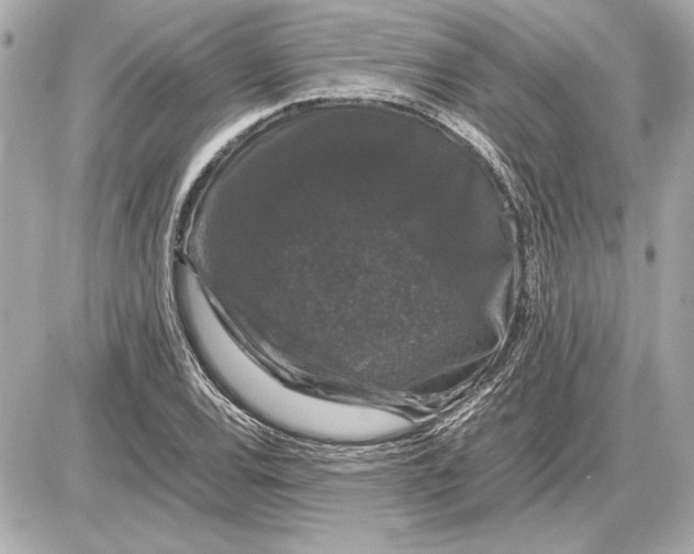 X0000085841120200704091716