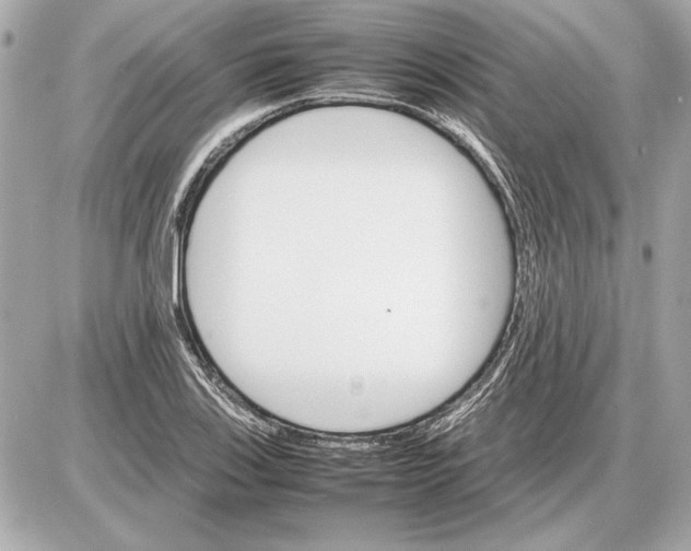 X0000085841123200704091716