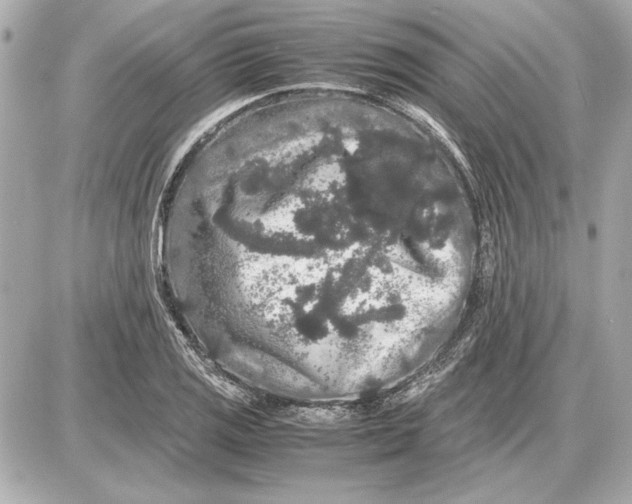 X0000085841125200704091716